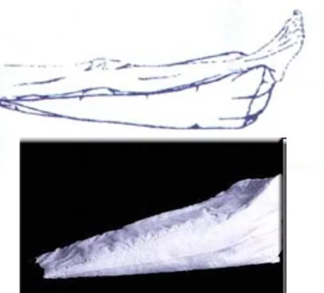 Gyopár S22 rámpa 76x27x30 cm